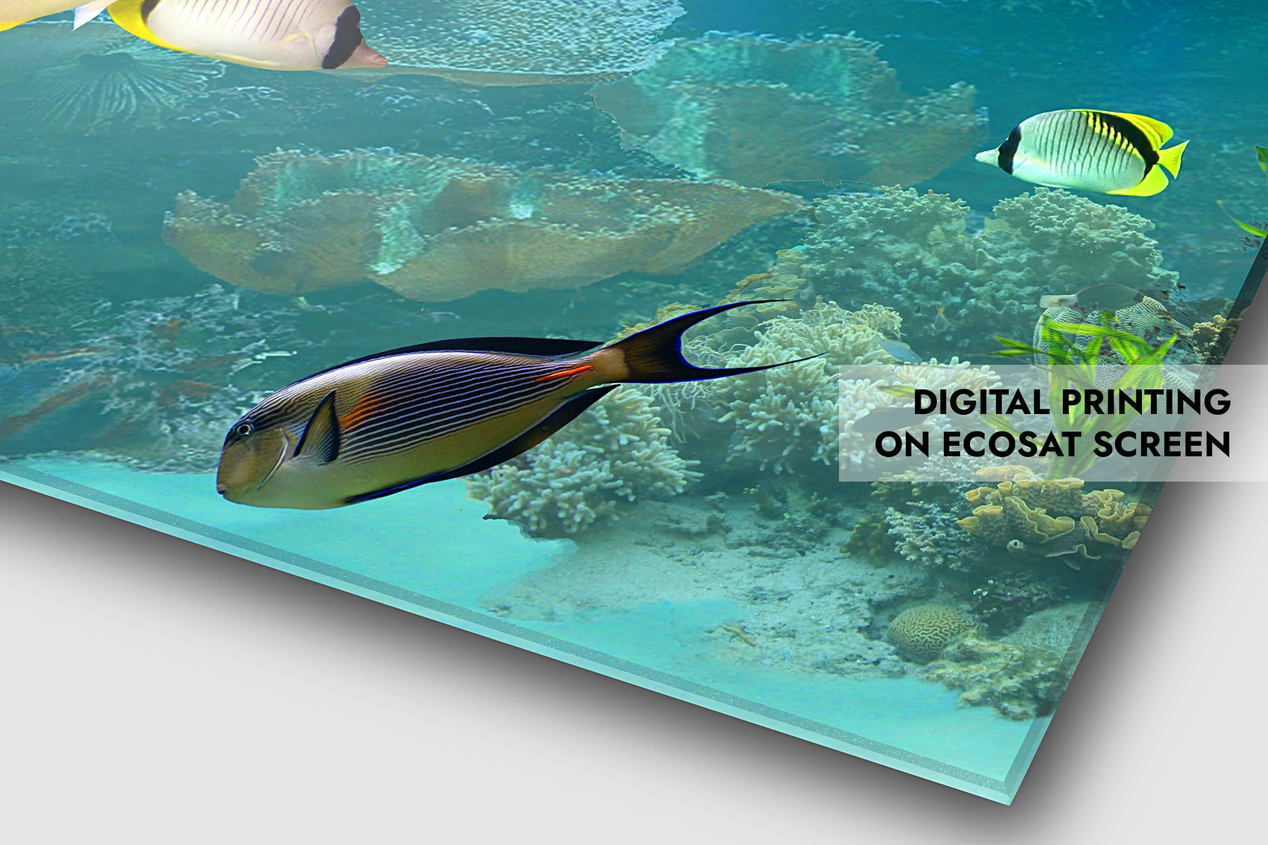 Digital printing on Ecosat Screen