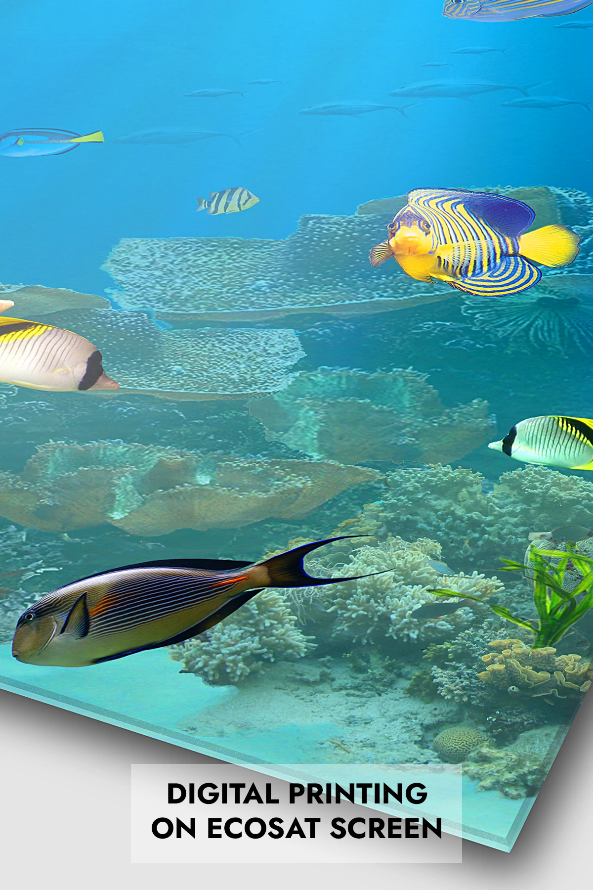 Digital printing on Ecosat Screen