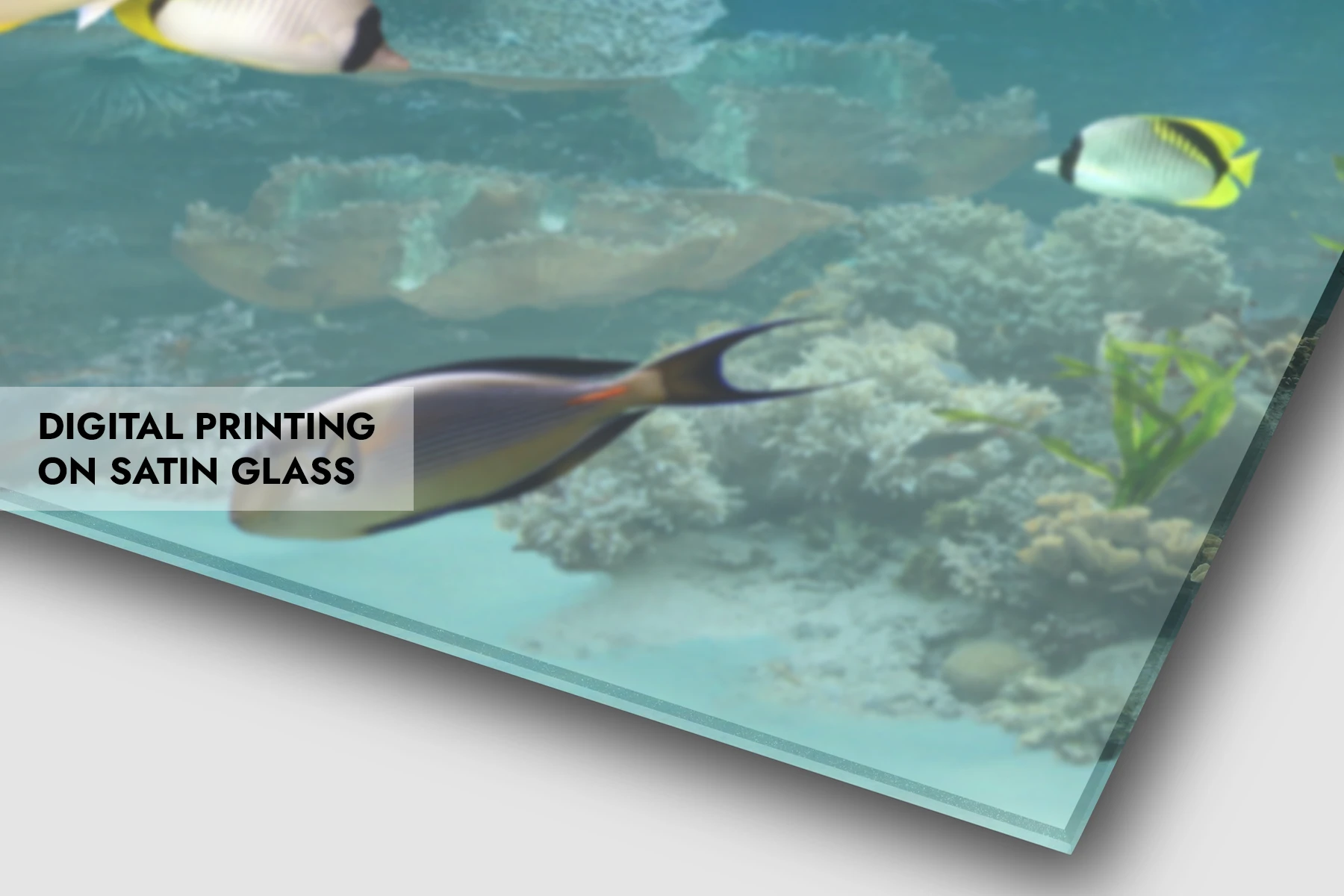 Digital printing on satin glass